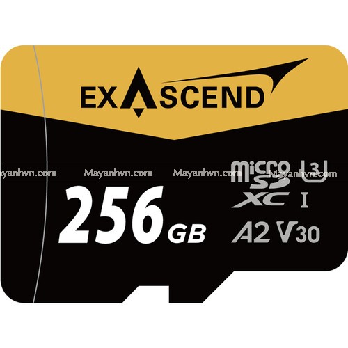 Thẻ Nhớ Exascend Catalyst microSDXC 256GB V30 